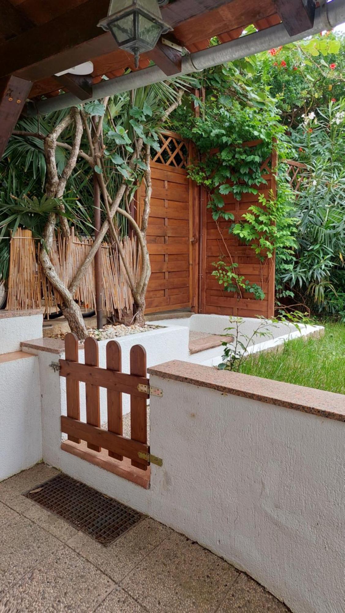 PUY Apartment Drenovica מראה חיצוני תמונה