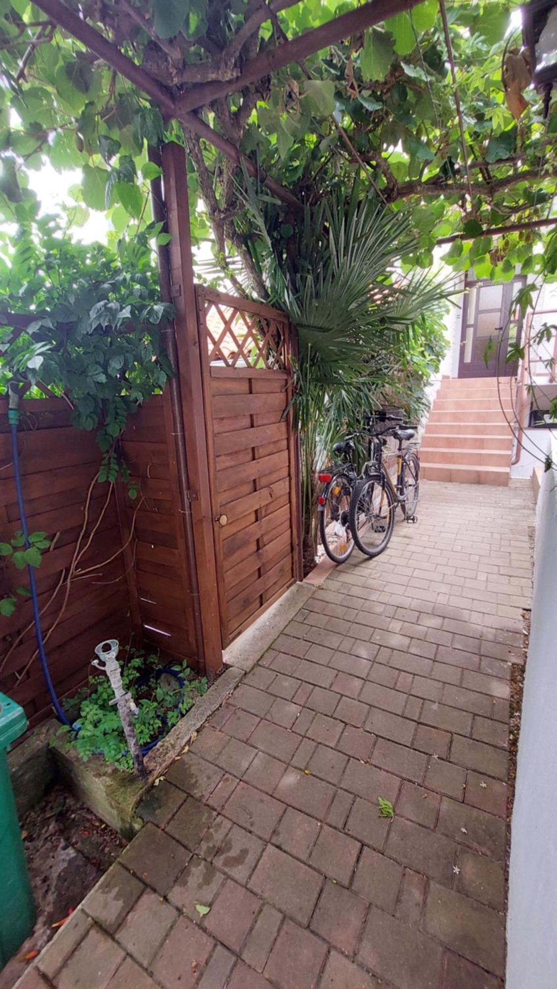 PUY Apartment Drenovica מראה חיצוני תמונה