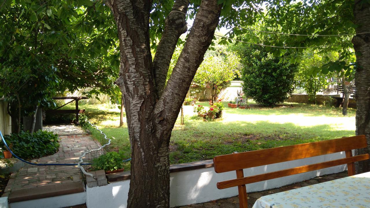 PUY Apartment Drenovica מראה חיצוני תמונה